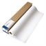 Epson Premium Canvas Matte - Fine art heavy-weight high resolution matte poly-cotton coated canvas paper - 19 mil - Roll (13 in x 20 ft) - 375 g/m2 - 1 roll(s)